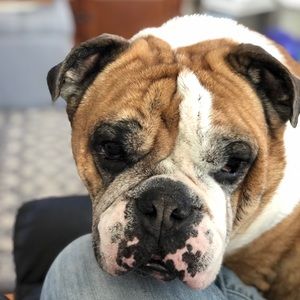 Meet your Posher, Tom